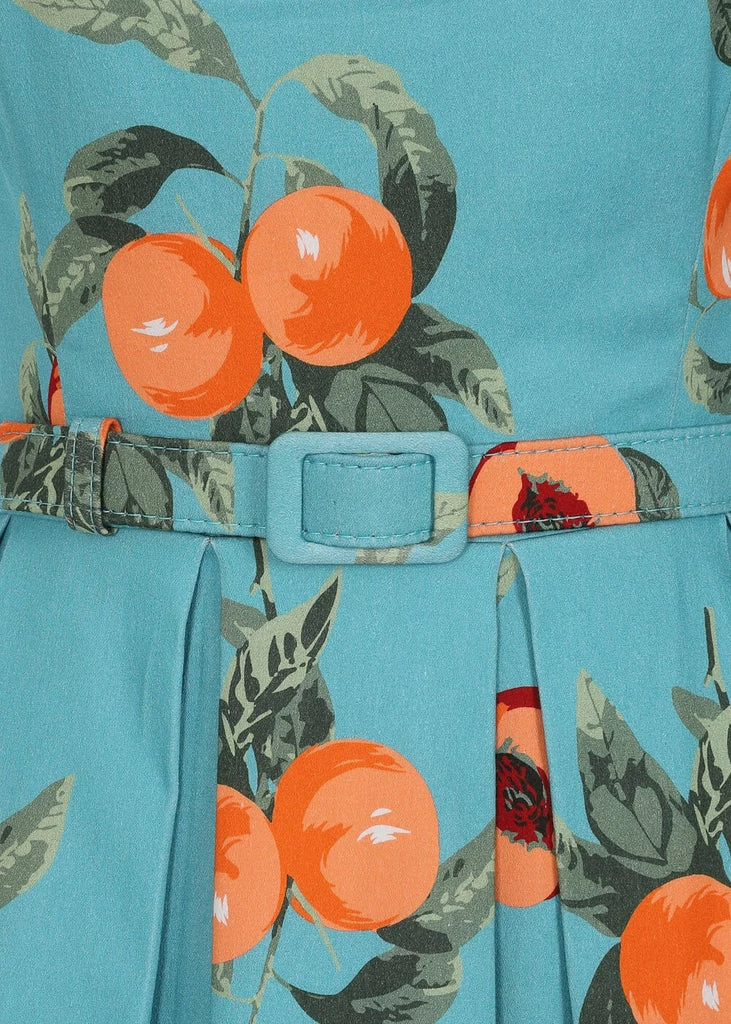 Collectif Jill Vintage Peaches 50's Swing Dress Blue - Image 5